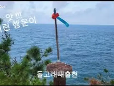요나고래
