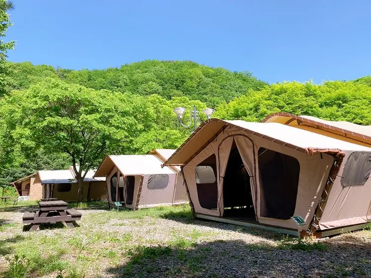경기도청소년야영장 사진 4
