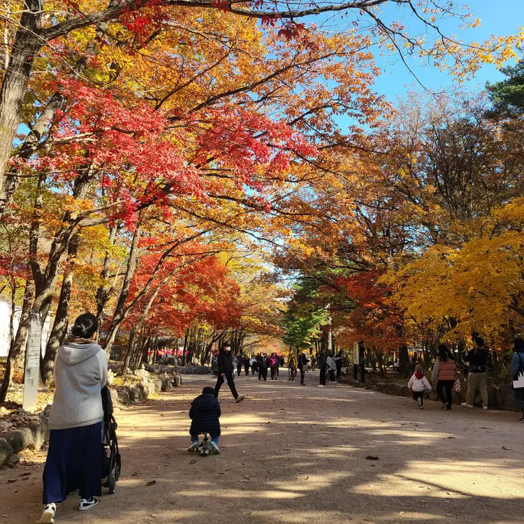 금호설악리조트 사진 2