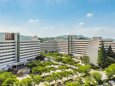 켄싱턴리조트 경주