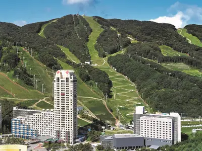 휘닉스 파크