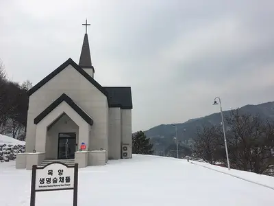 생명숲채플