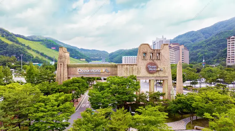 소노벨 비발디파크 사진 3