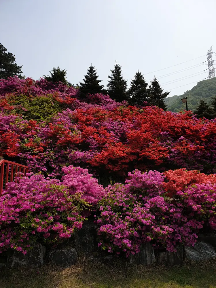 안성영락수양관 사진 4