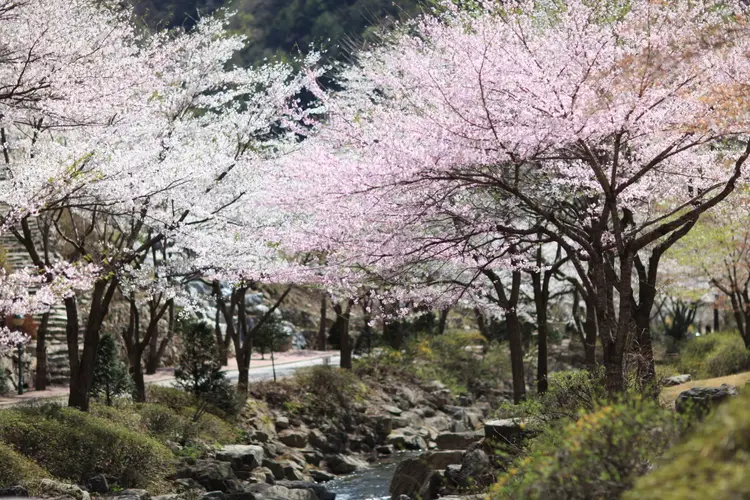 수도중앙교회 담터수양관 사진 4