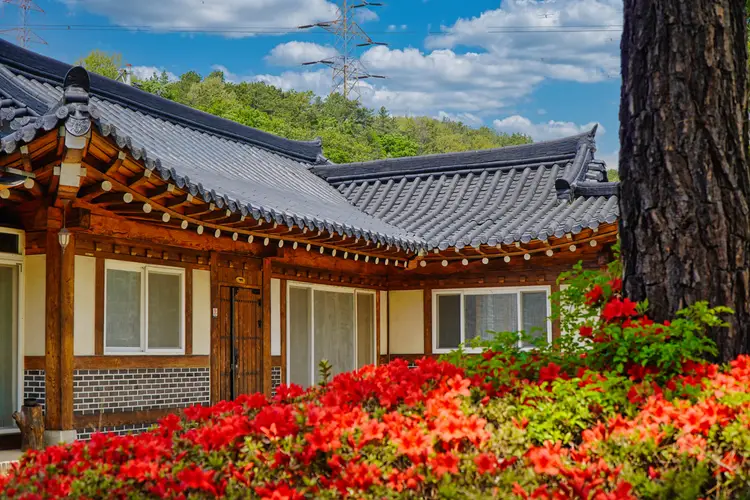 한옥촌신선마을 사진 4