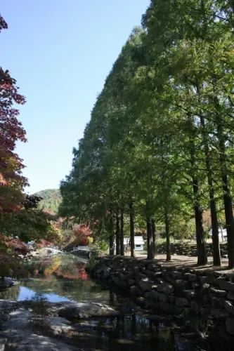 동방아트 사진 2