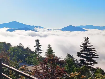 오스트리아캠핑
