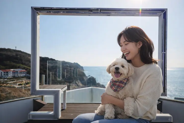 힐포인트거제유스호스텔 사진 2